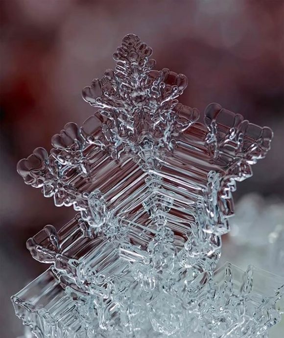 macro-photographs-of-snowflakes-15