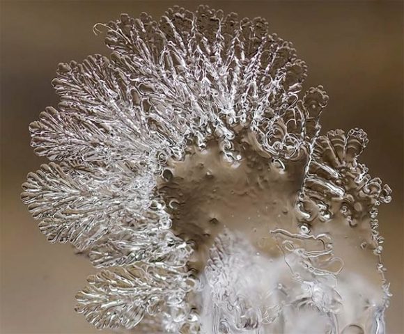 macro-photographs-of-snowflakes-16